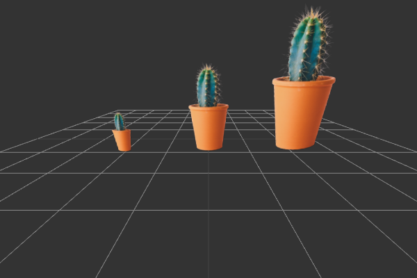 Transparent image of a cactus